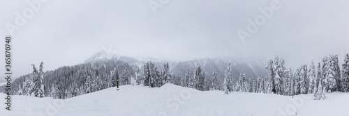 Panoramic View of the White Snow Covered Canadian Mountain Landscape during Winter. Taken in Squamish, near Vancouver, British Columbia, Canada. Nature Background Panorama
