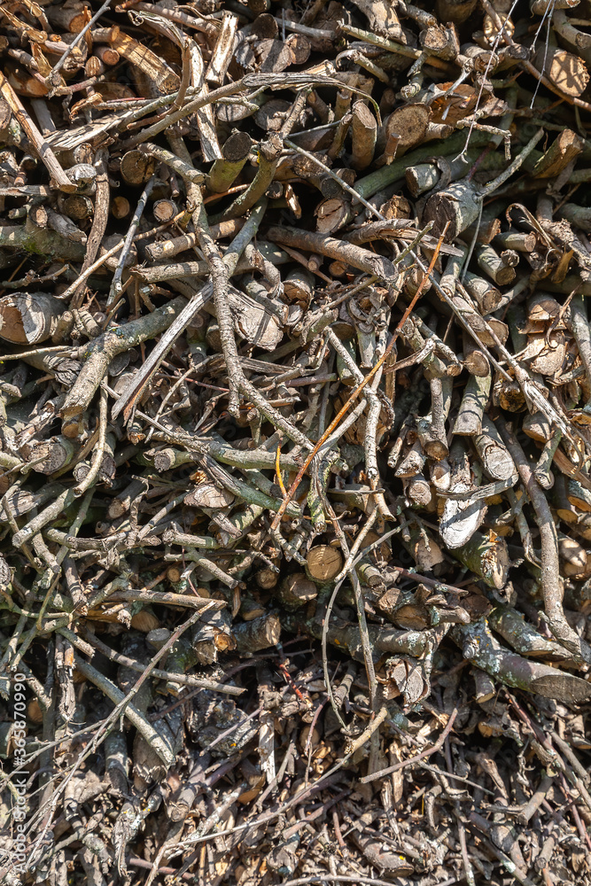 heap of dry wooden twig branches of firewood. Brushwood natural background wooden texture. Close up view heap of dry wooden twig branches of firewood. Brushwood natural background wooden texture. Close up view