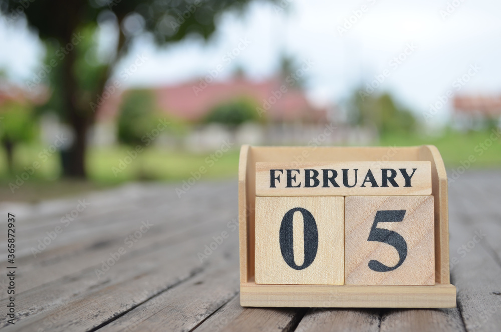 February 5, Number cube with a natural background.