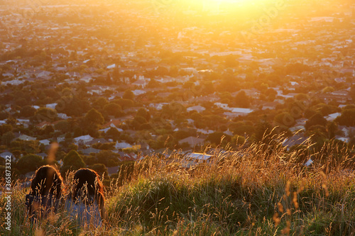 Two girls sitting on Mount Eden, Auckland, New Zealand. They are watching the sunset together and enjoy their friendship. The overexposed sun and underexposed friends set a cozy mood.