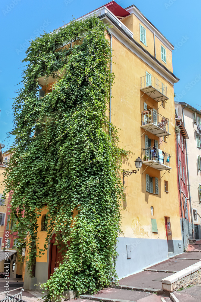 Naklejka premium Maison avec treille - mur végétalisé dans le Vieux Nice