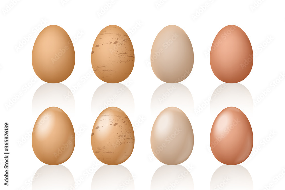 Egg set realistic style vector illustration, eggs collection realism mock up isolated on white background Egg set realistic style vector illustration, eggs collection realism mock up isolated on white background