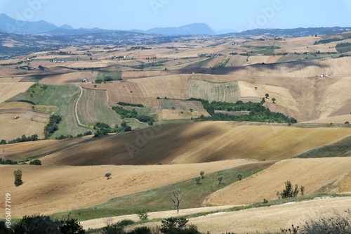 Cairano - Ombra di nuvola sui campi di grano