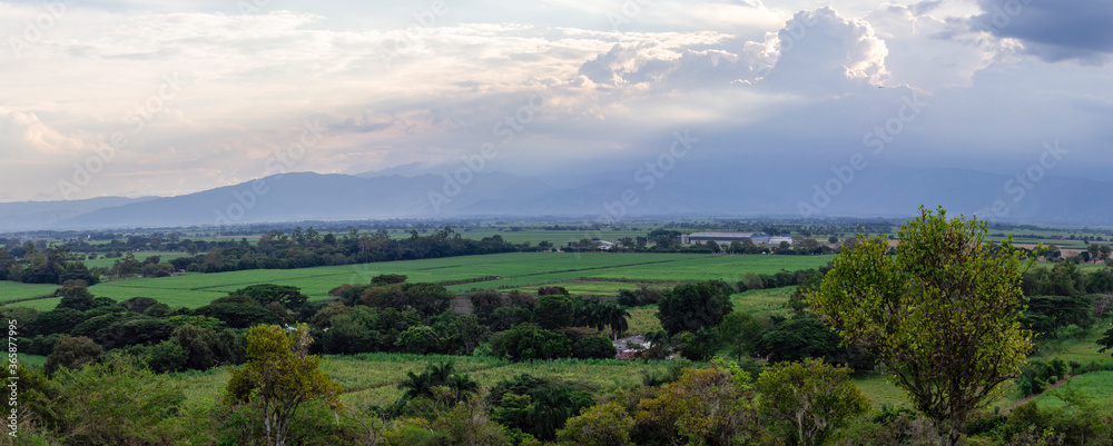 Panoramic photograph of sugar cane crops in the state of Valle del Cauca Colombia, with the western mountain range in the background.