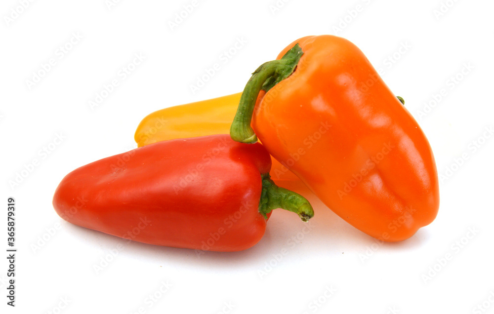 Colorful chilli peppers on white background Colorful chilli peppers on white background