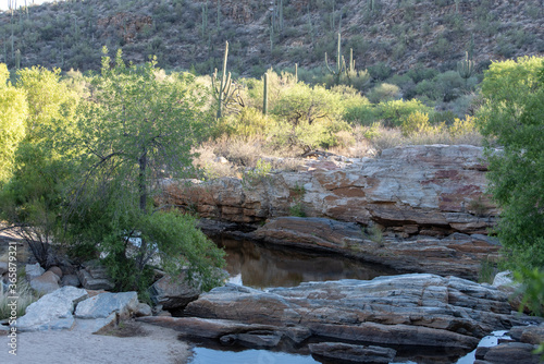 Beautiful Tucson Arizona desert landscapes