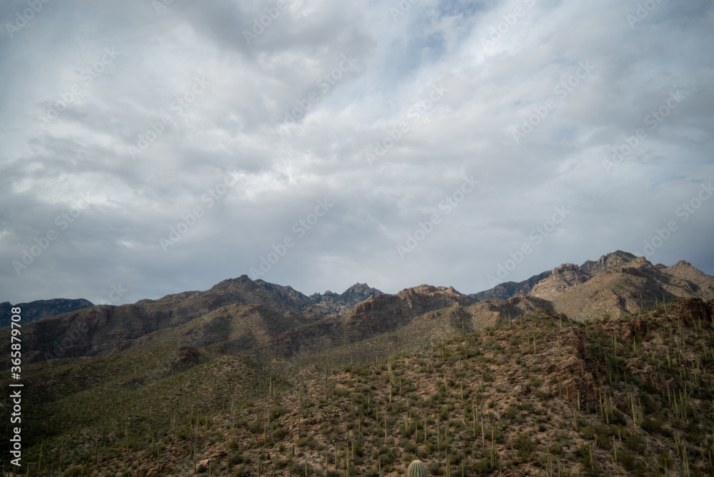Beautiful Tucson Arizona desert landscapes Beautiful Tucson Arizona desert landscapes