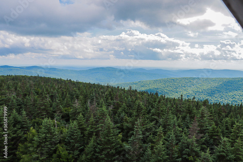 clouds over the forest