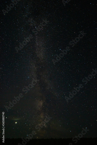  milky way starry sky over a forest in a Russian village