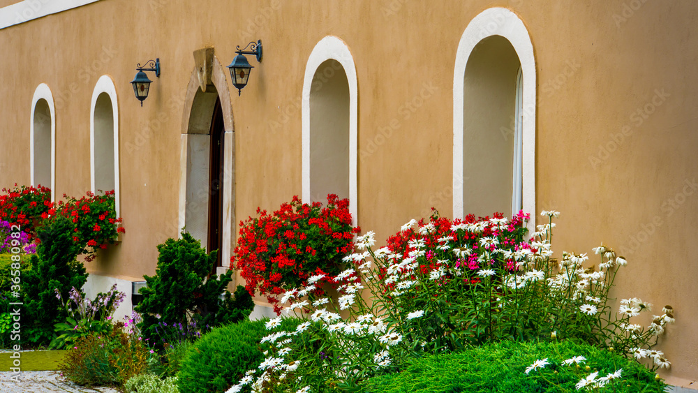 Naklejka premium Flowers planted next to old buildings