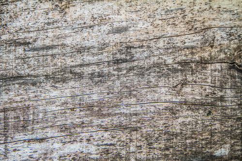 Wooden plank in a close up - background 