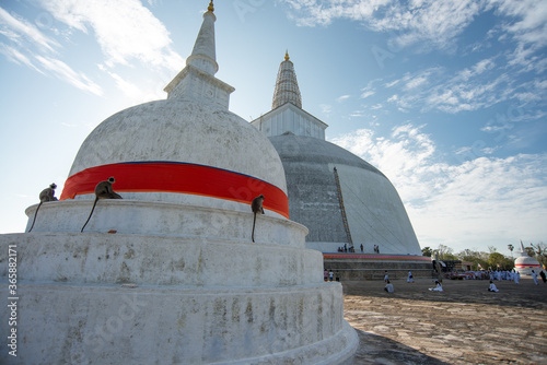   norme temple bouddhiste st  pa blanche sur un ciel bleu au Sri Lanka    Tissa