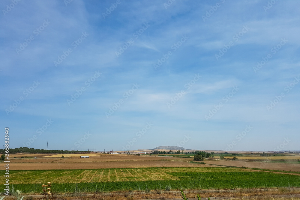 Landscape with sown in Castilla la Mancha spanish region