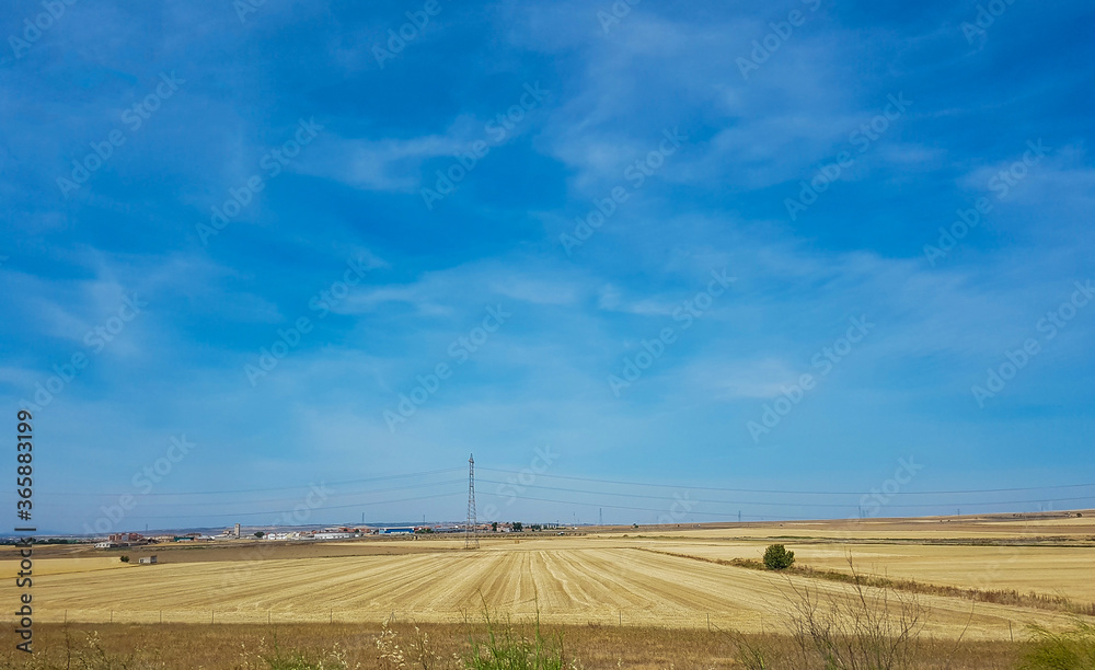 landscape with sown wheat in Spain between Madrid and Valencia