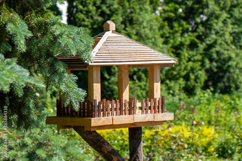 Bird and squirrel feeder in the Park
