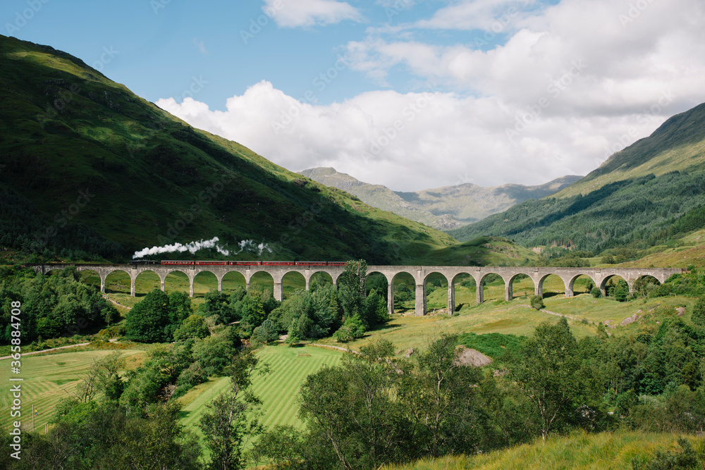 train traveling a viaduct in a green landscape