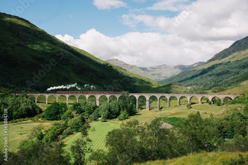 train traveling a viaduct in a green landscape