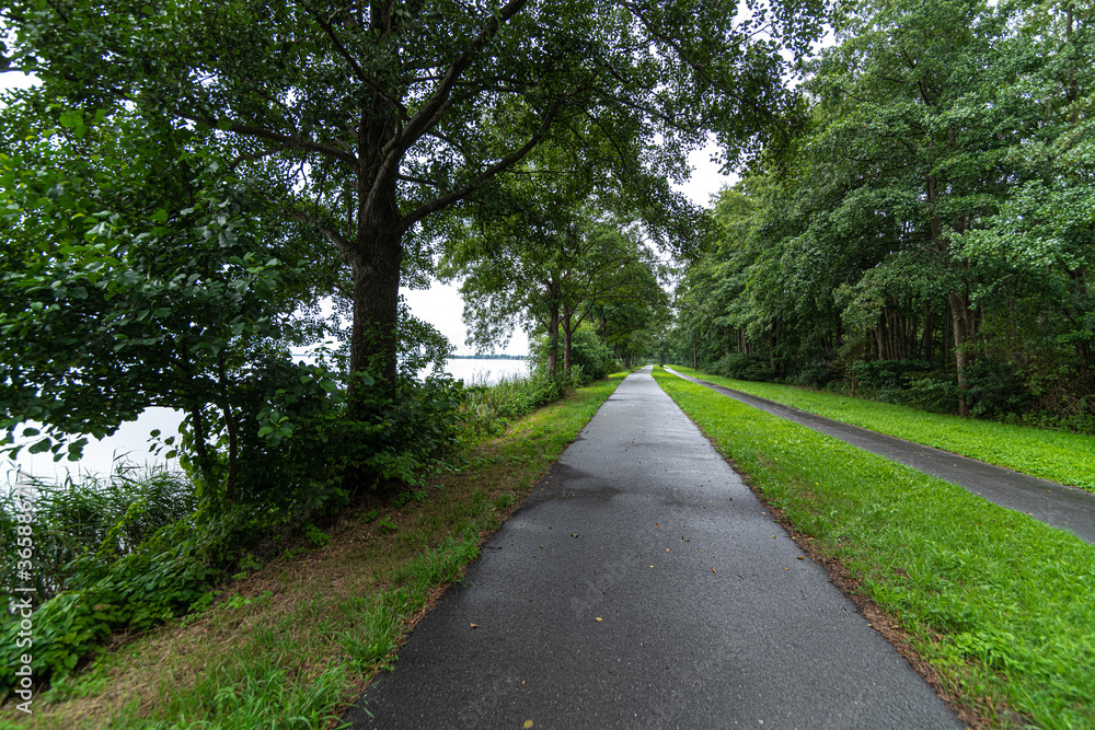 Walkway and Bicycle Trail along the Steinhuder Meer, Germany Walkway and Bicycle Trail along the Steinhuder Meer, Germany