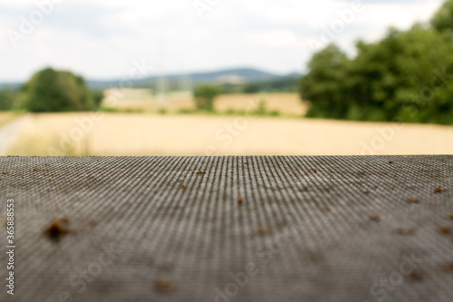 Holzplatte vor einem Weizenfeld , für Produktplatzierung 