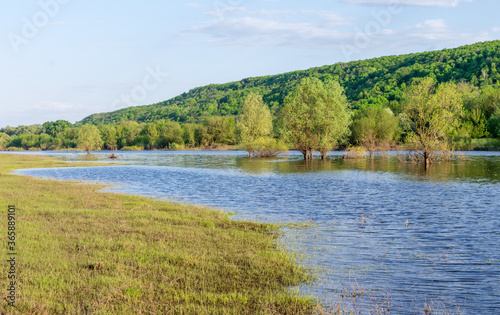 Fototapeta Naklejka Na Ścianę i Meble -  spring flood on the river