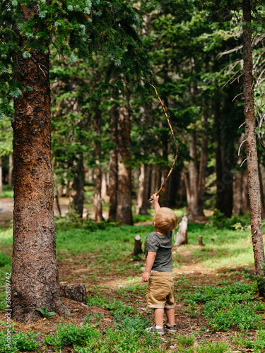 Little kid playing in the forest with sticks