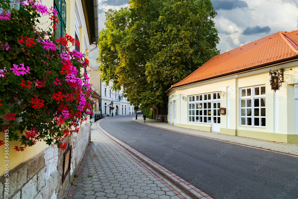 The main street of Tokaj. Hungary.