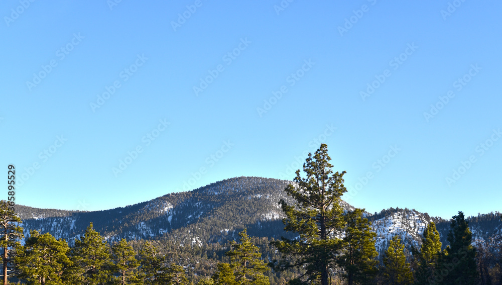 Mountain, pine tree and blue sky