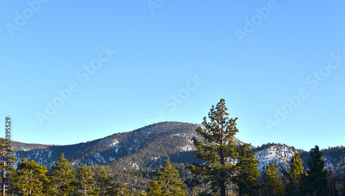 Mountain, pine tree and blue sky