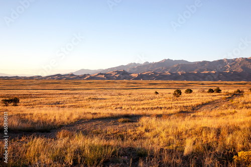 Grass and Sand at Sunset meet at the Great Colorado Sand Dunes 