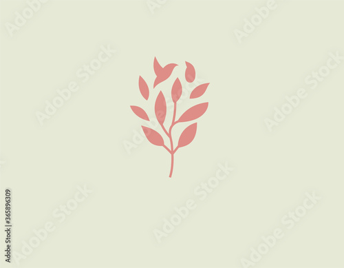 Minimalistic gentle logo icon branch of a plant with leaves and a silhouette of a bird for a beauty salon