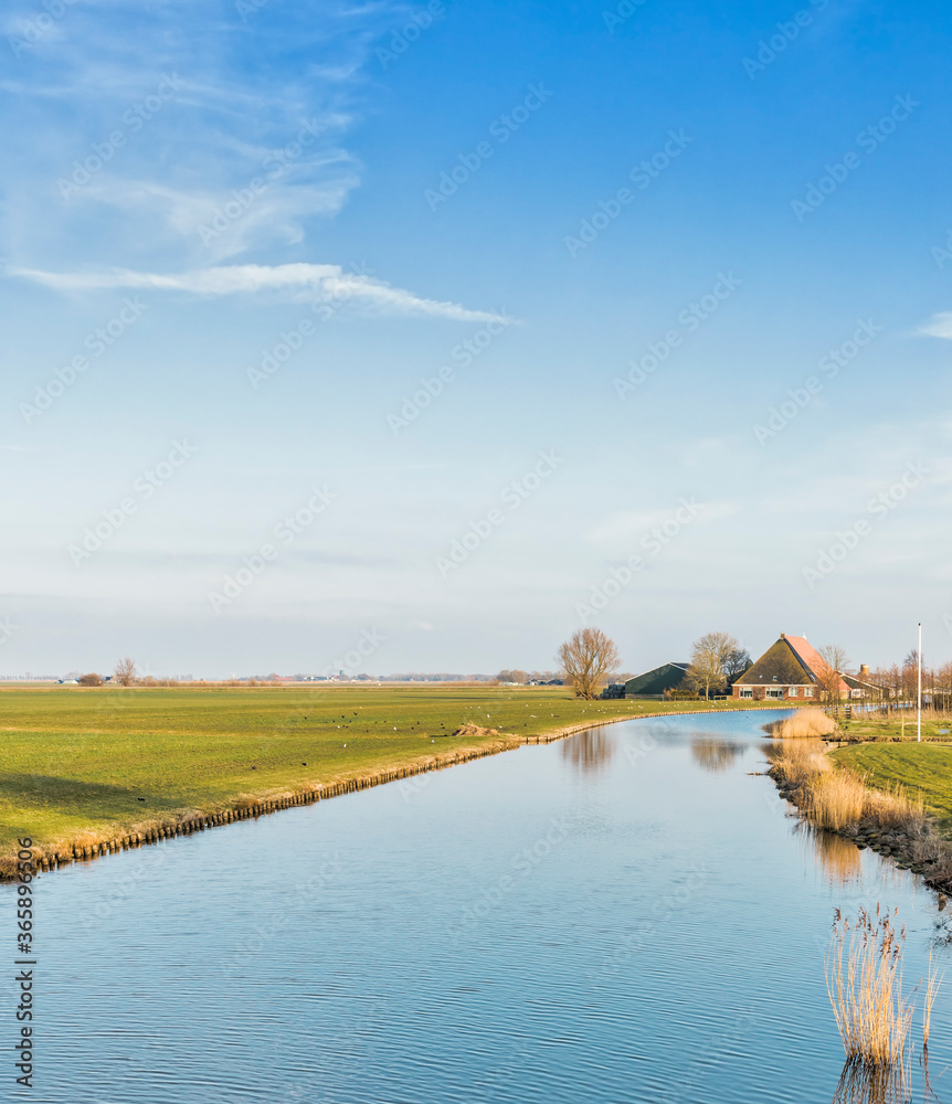Canal, field and farmhouse in Hindeloopen, Netherlands, Europe