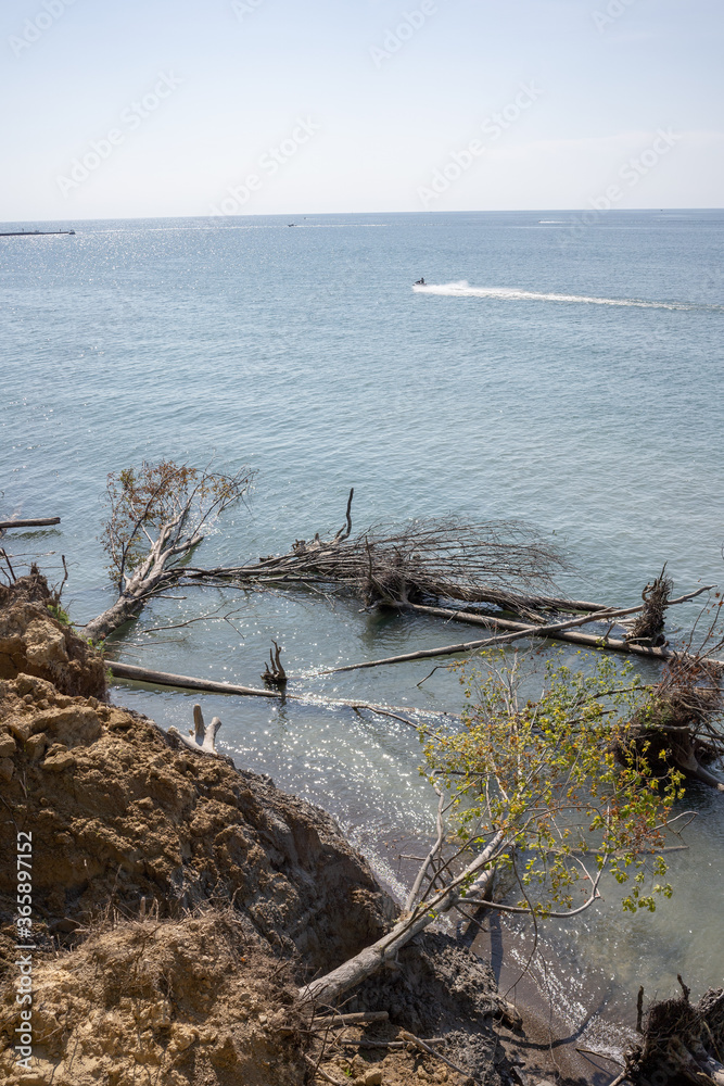 Lake Erosion, Trees fallen in Lake, Climate change, extreme weather, lake mudslide Lake Erosion, Trees fallen in Lake, Climate change, extreme weather, lake mudslide