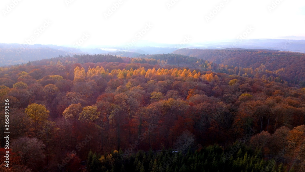 Obraz premium Herbst