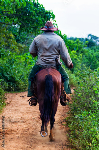 Photography Old man on his horse near Trinidad, Cuba