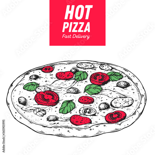 Italian Pizza hand drawn illustration. Pizza circle. Packaging design template. Sketch illustration.