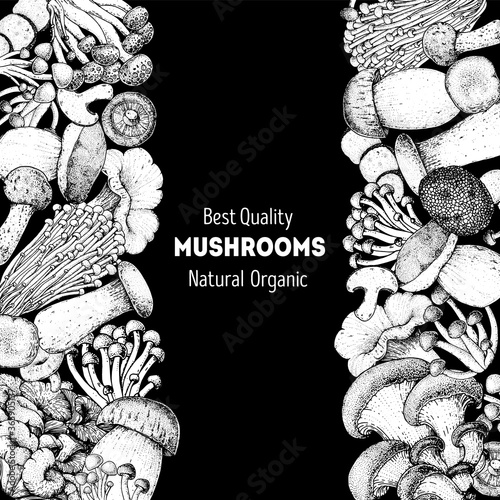 Edible mushrooms hand drawn sketch. Vector illustrations collection. Hand drawn food. Vintage mushrooms sketch. Organic food. Forest mushrooms. Vintage mushrooms background. Healthy food illustration.