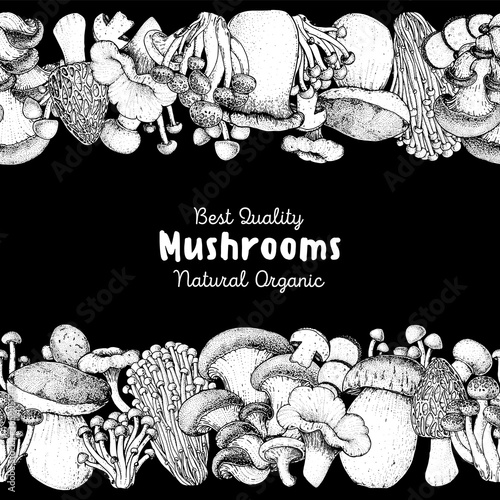 Edible mushrooms hand drawn. Horizontal Seamless pattern. Vector illustrations collection. Hand drawn food. Vintage mushrooms sketch. Organic food. Forest mushrooms. Vintage mushrooms background.