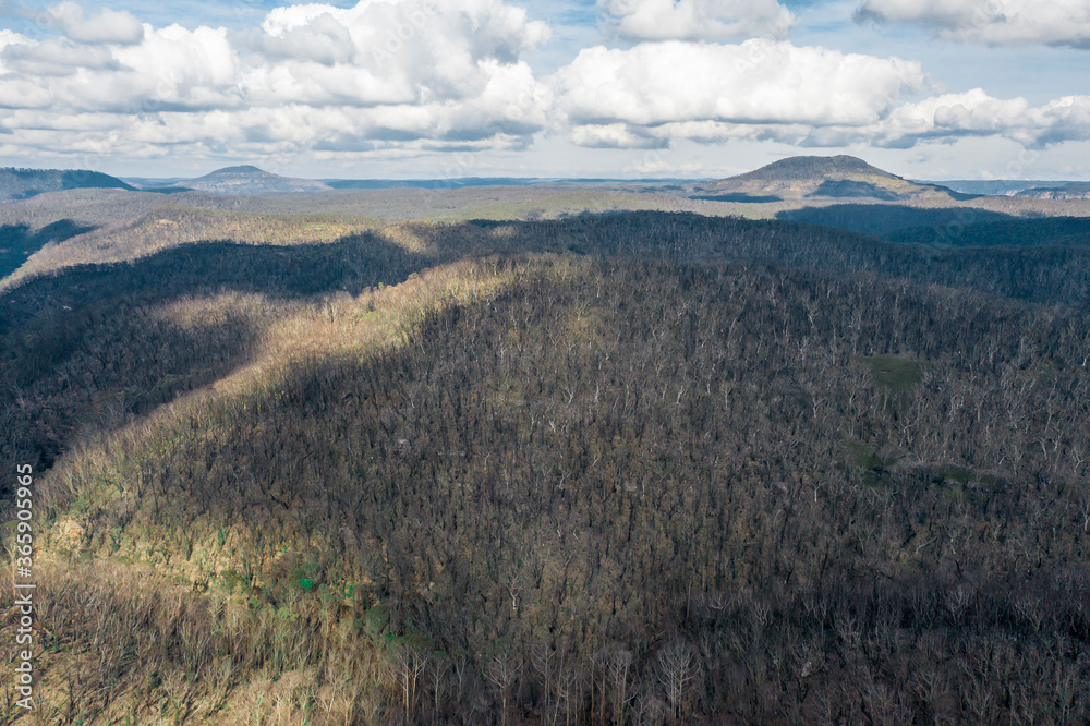 Aerial view of forest regeneration after severe bushfires in The Blue Mountains in Australia Aerial view of forest regeneration after severe bushfires in The Blue Mountains in Australia