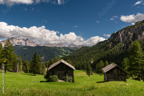 
Fresh grass ready for cutting in the Dolomites, Alta Badia, South Tyrol, Italy