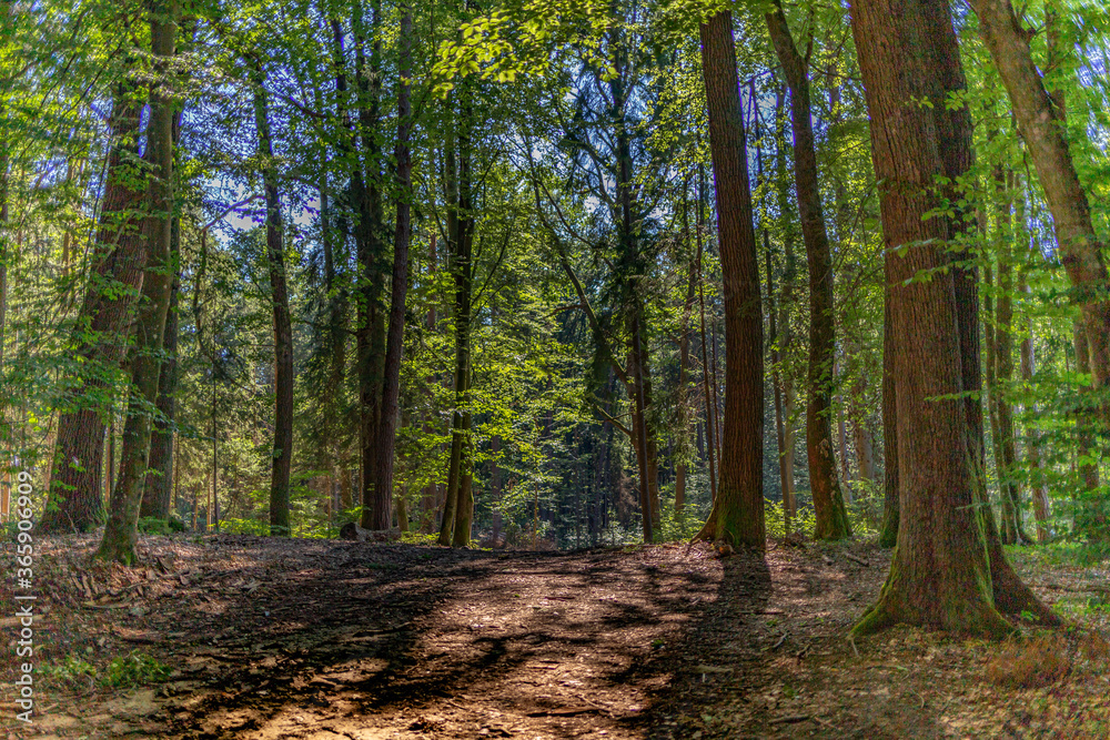 Graz Wanderung Orthacker Graz Wanderung Orthacker