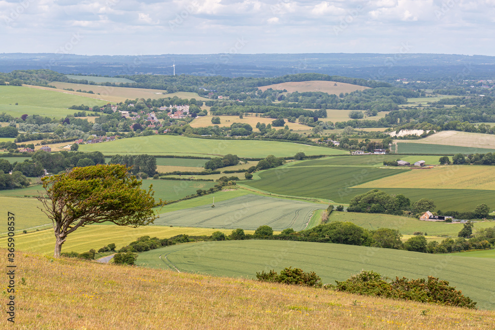 Looking out over a South Downs landscape from Firle Beacon in Sussex