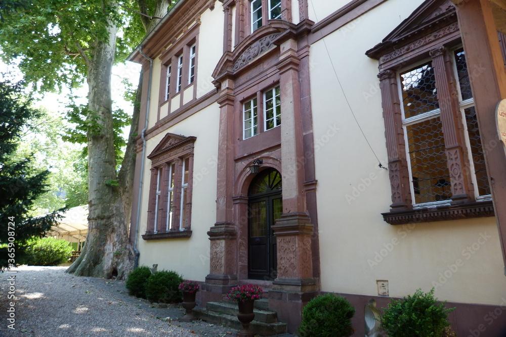 Naklejka premium Lichtensternscher Hof in Eltville am Rhein