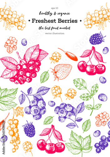 Berries hand drawn vector illustration frame. Hand drawn sketch illustration with sea buckthorn, goji berries, cloudberry, blueberry, strawberry. Healthy food design template with berries