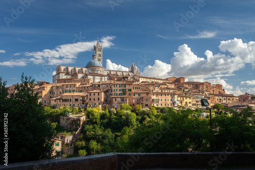 View on medieval city of Siena Tuscany