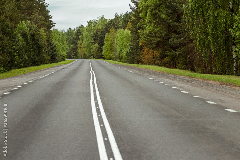 Beautiful summer landscape green forest and road in the forest.