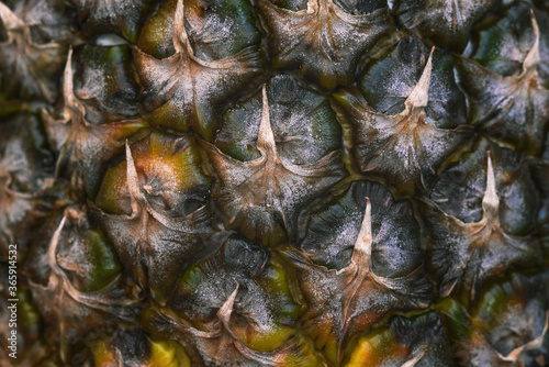 Pineapple close-up texture. Skin of a ripe pineapple. Tropical fruit.