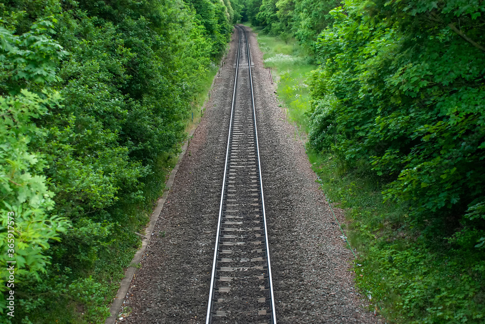 A single railway line running through a forest A single railway line running through a forest