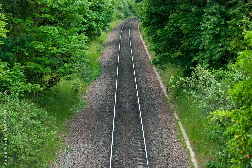 A single railway line running through a forest A single railway line running through a forest