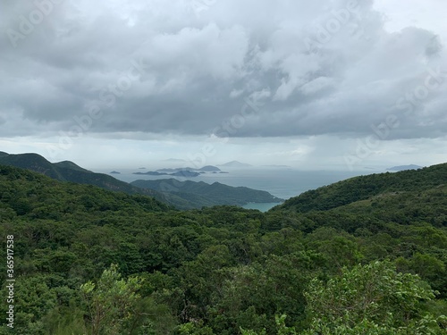 Forêt et baie de Hong Kong 