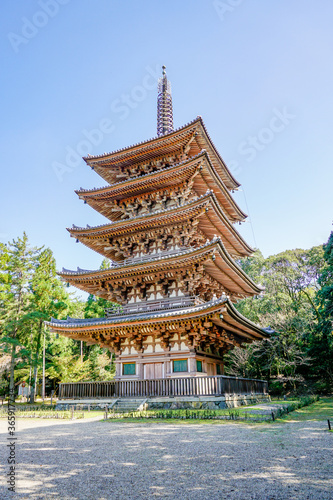 京都 醍醐寺